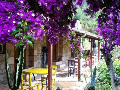Hotel Dede Garden Datça